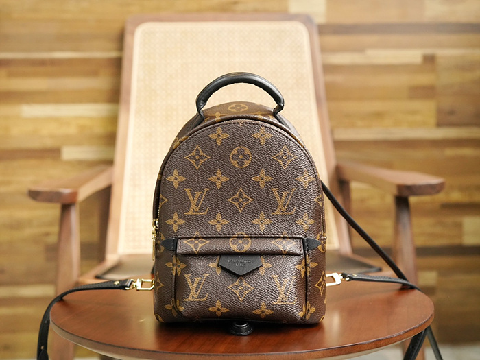 루이비통 팜스프링 백팩 미니 M44873 (upgrade ver.)