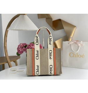 끌로에 우디백 미디움