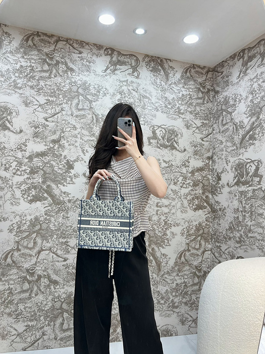 디올 북토트백 스몰 샴브레이