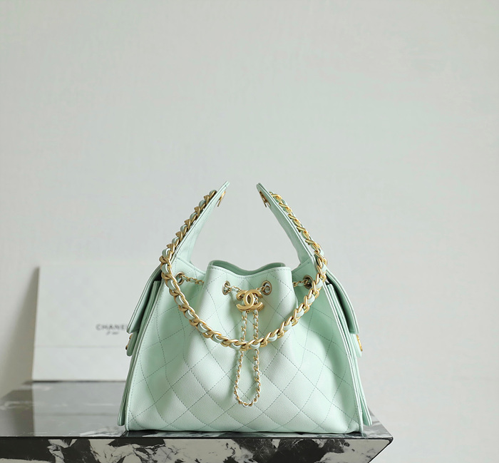 샤넬 25C 크루즈 뉴 호보백 스몰 (25백)