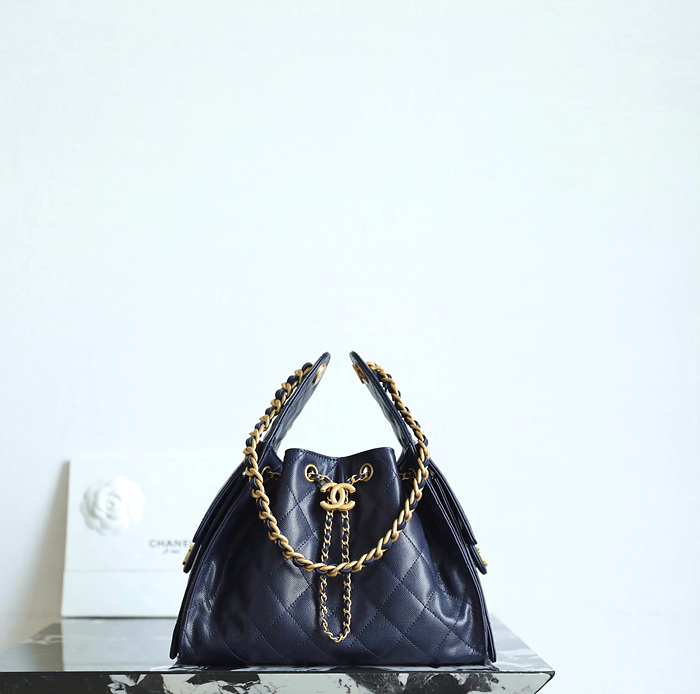 샤넬 25C 크루즈 뉴 호보백 스몰 (25백)