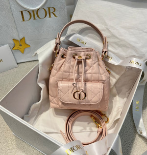 디올 카로 버킷백 나노