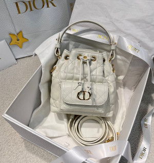 디올 카로 버킷백 나노