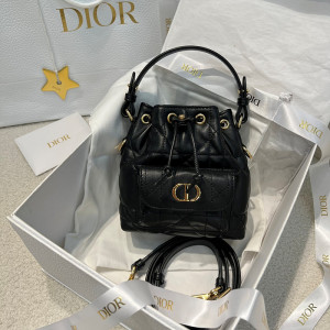 디올 카로 버킷백 나노