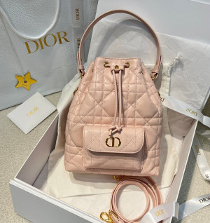 디올 카로 버킷백 스몰