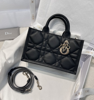 디올 북토트 미니 백 (컬러 블랙)