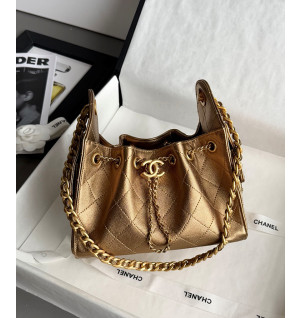 샤넬 25C 크루즈 뉴 호보백 미니 (25백)